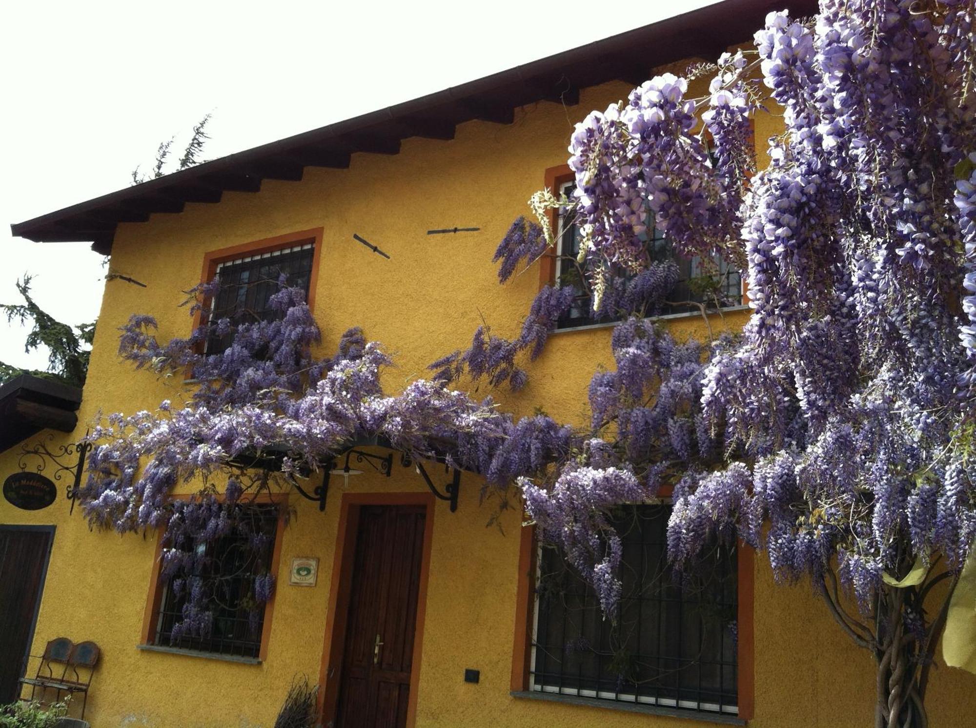 Rocca Grimalda卡希纳马达莱纳葡萄酒旅馆别墅 外观 照片