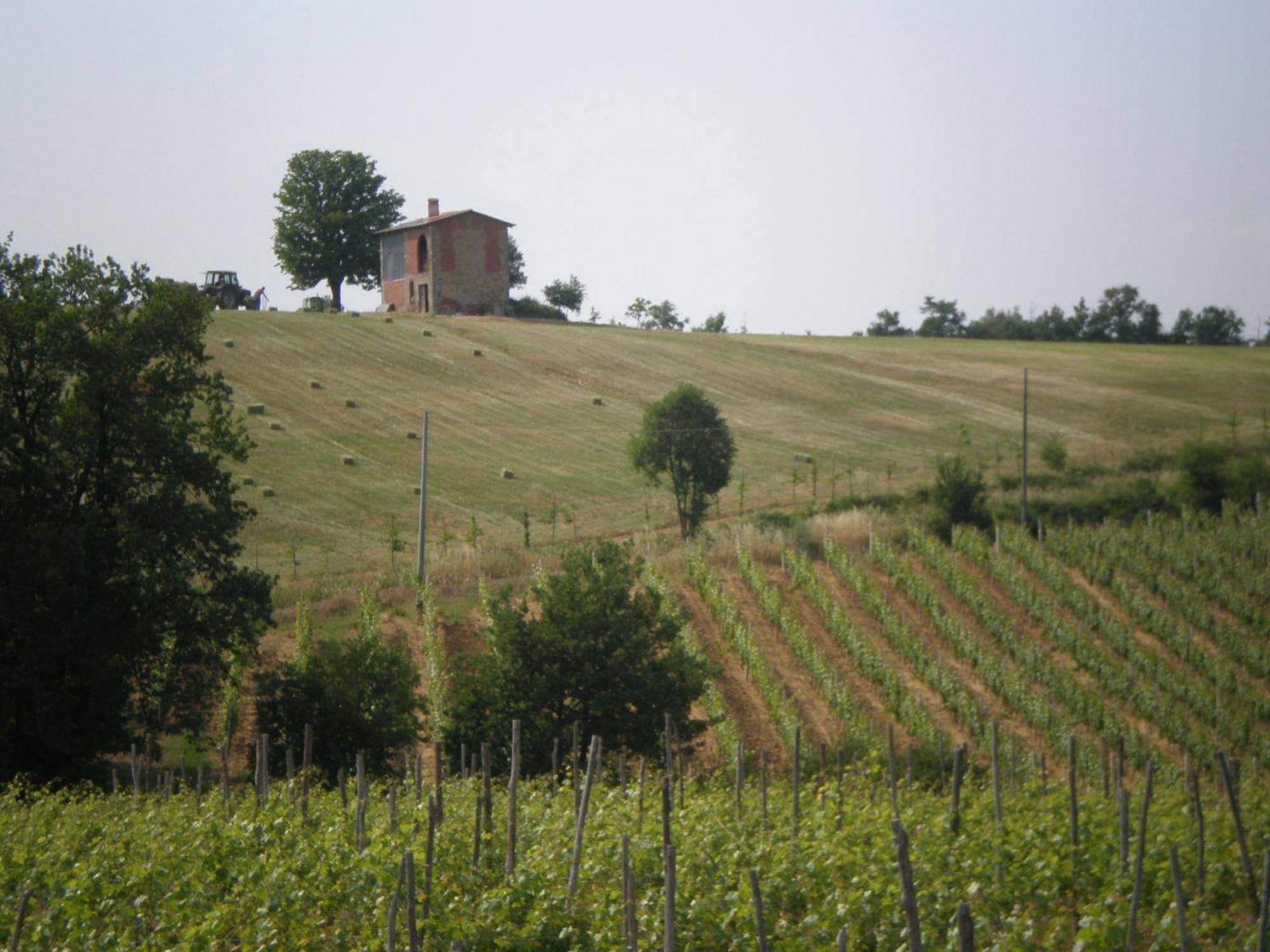 Rocca Grimalda卡希纳马达莱纳葡萄酒旅馆别墅 外观 照片