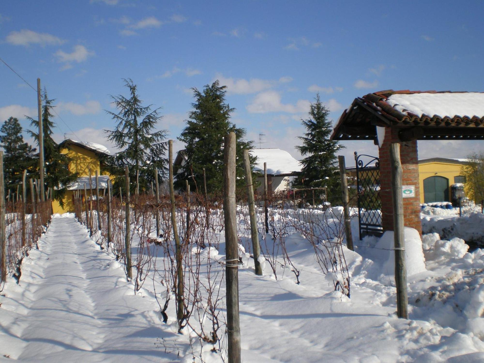 Rocca Grimalda卡希纳马达莱纳葡萄酒旅馆别墅 外观 照片