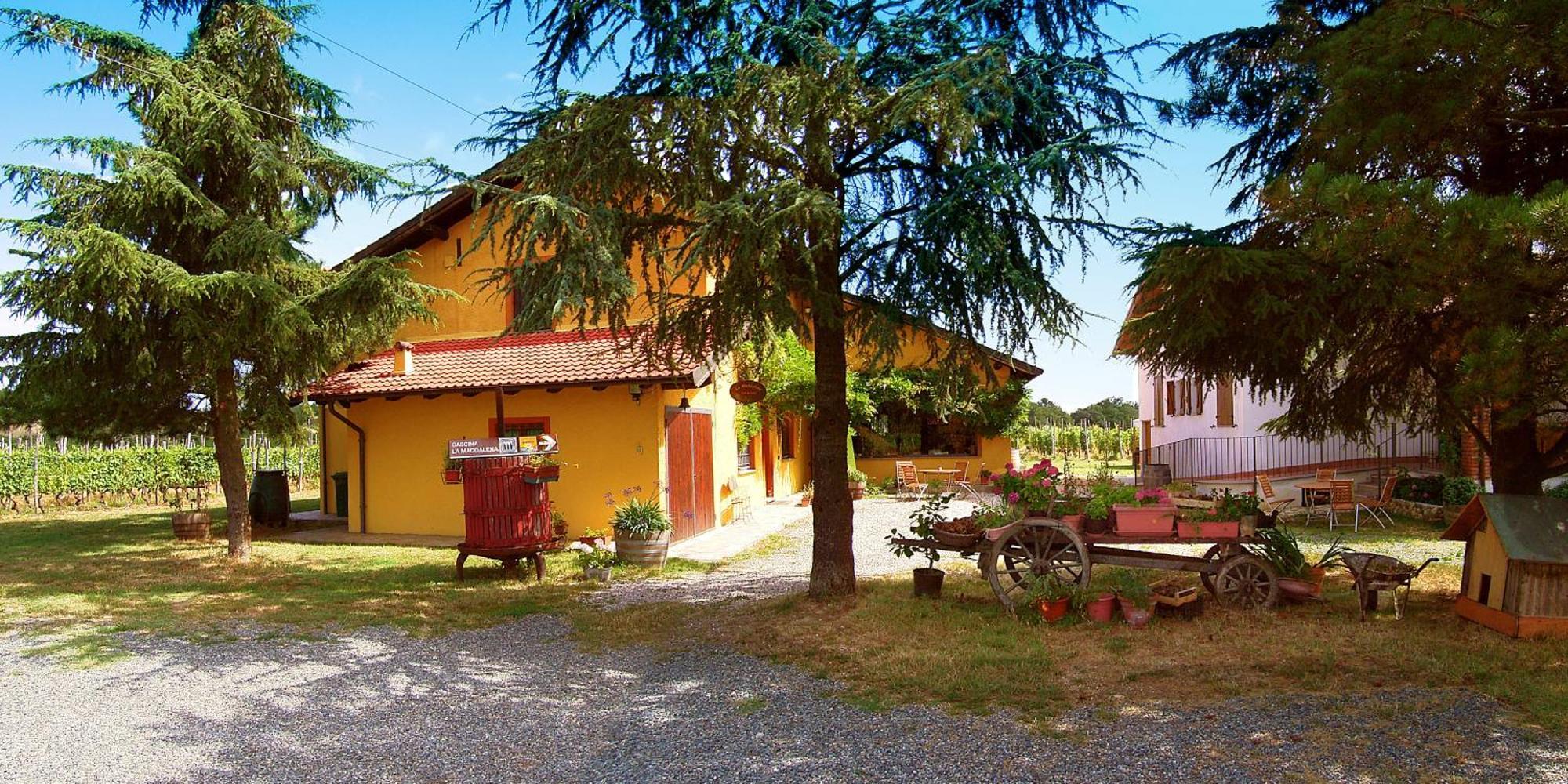 Rocca Grimalda卡希纳马达莱纳葡萄酒旅馆别墅 外观 照片